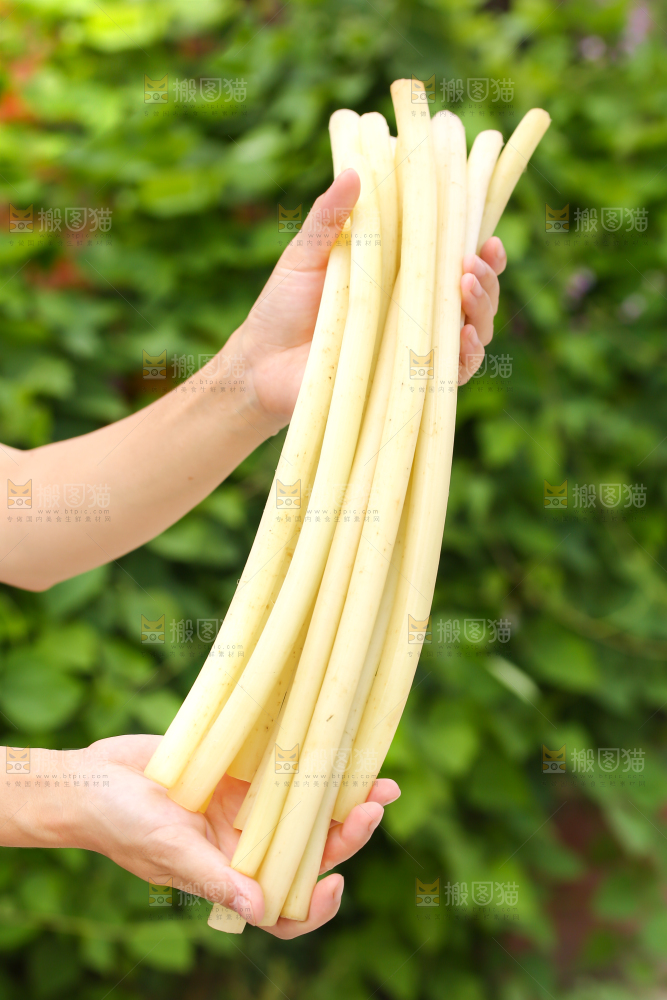 手里拿着藕带