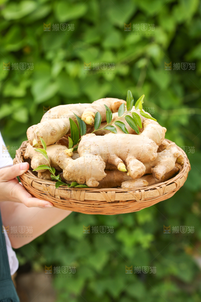 手里拿着生姜