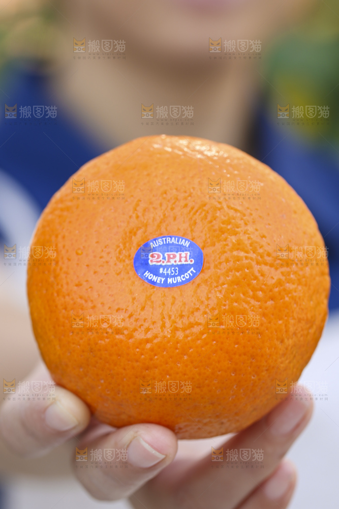 手里拿着进口澳柑