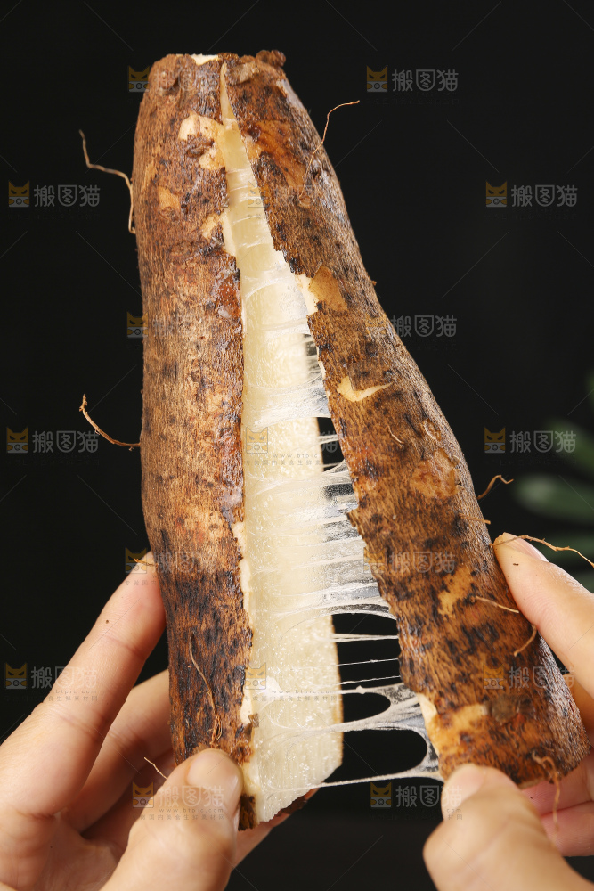 深底上的灵芝山药
