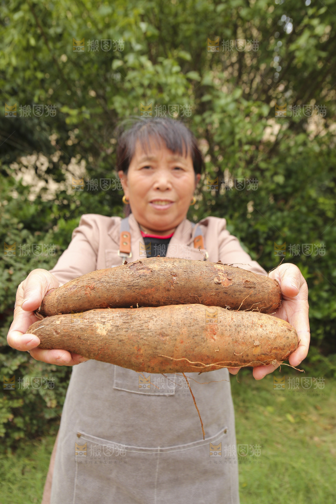 手里拿着灵芝山药