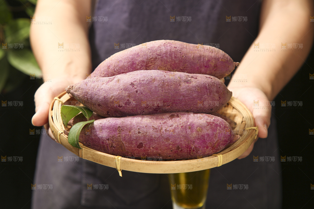 深底上的紫心番薯