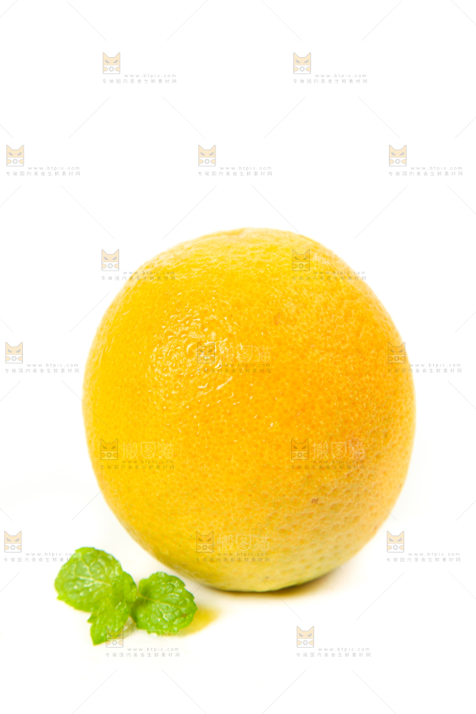 白底上放着的夏橙