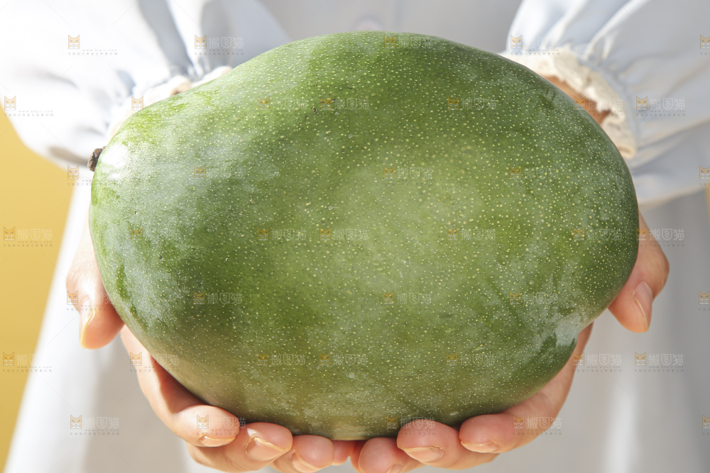 浅底上放着的凯特芒