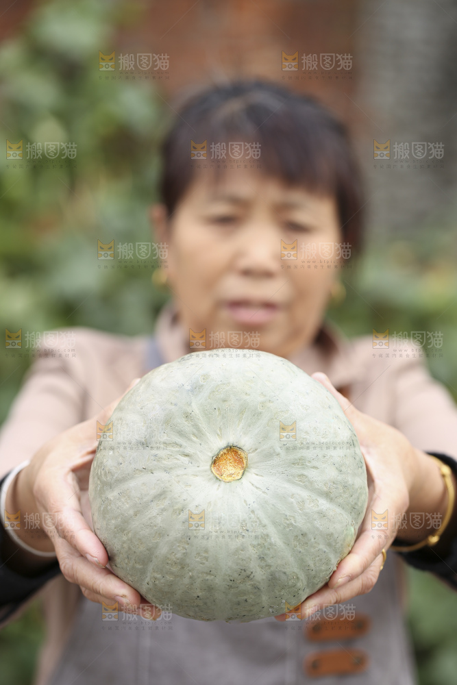 手里拿着银栗南瓜
