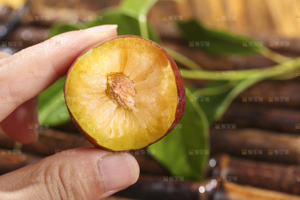木底上的红脆李