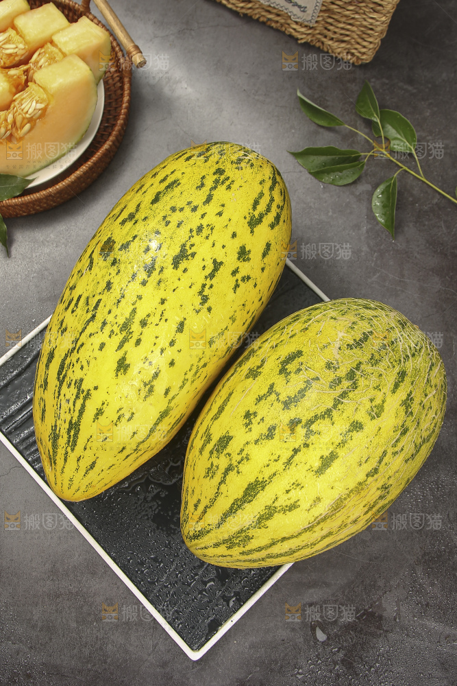 深底上的新疆伽师瓜