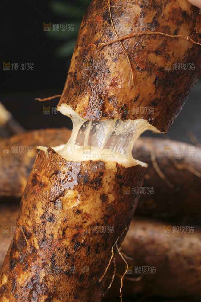 深底上的灵芝山药