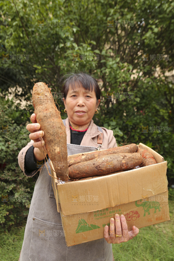 手里拿着灵芝山药