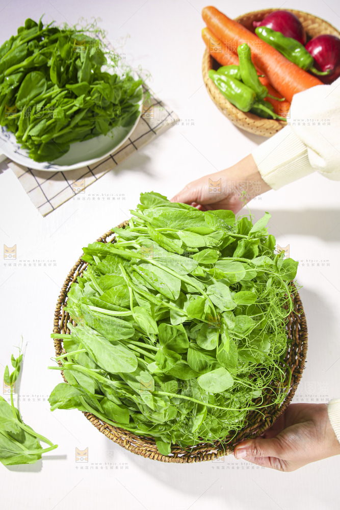 浅底上的豌豆尖