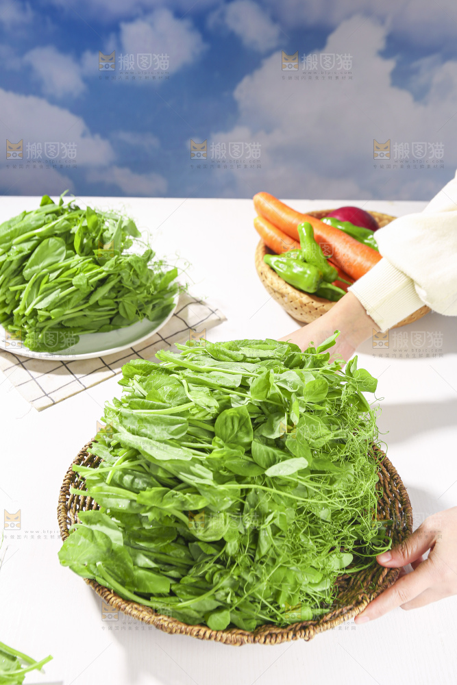 浅底上的豌豆尖
