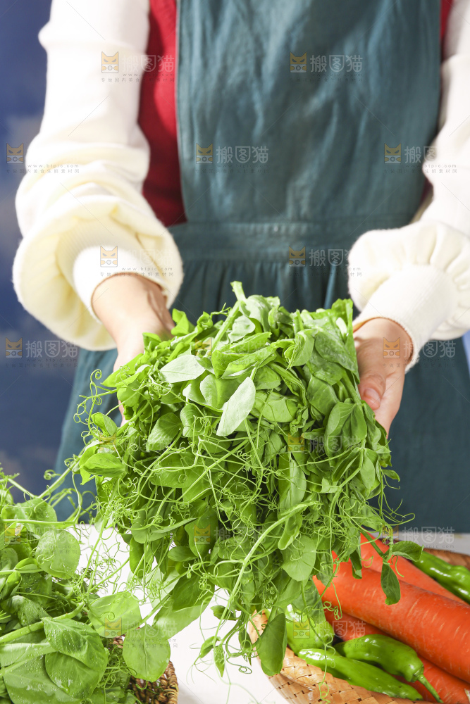 浅底上的豌豆尖