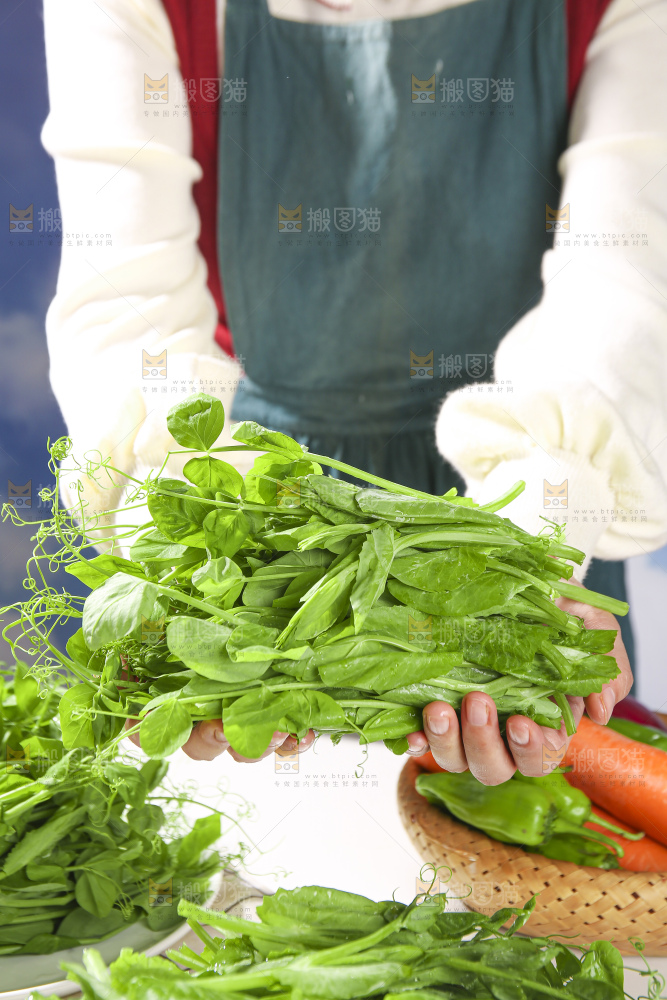 浅底上的豌豆尖