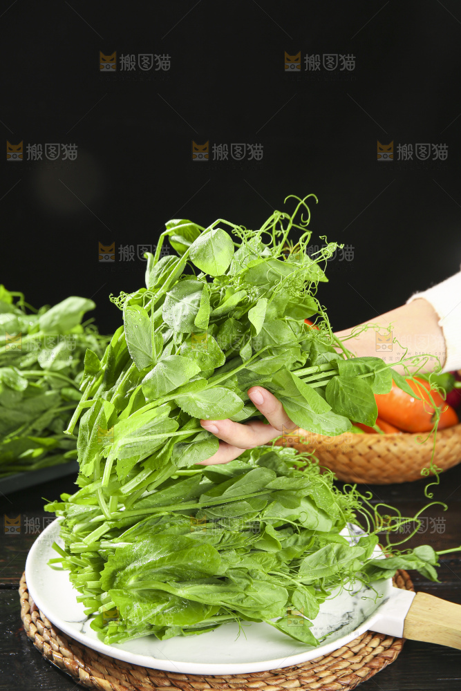 深底上的豌豆苗