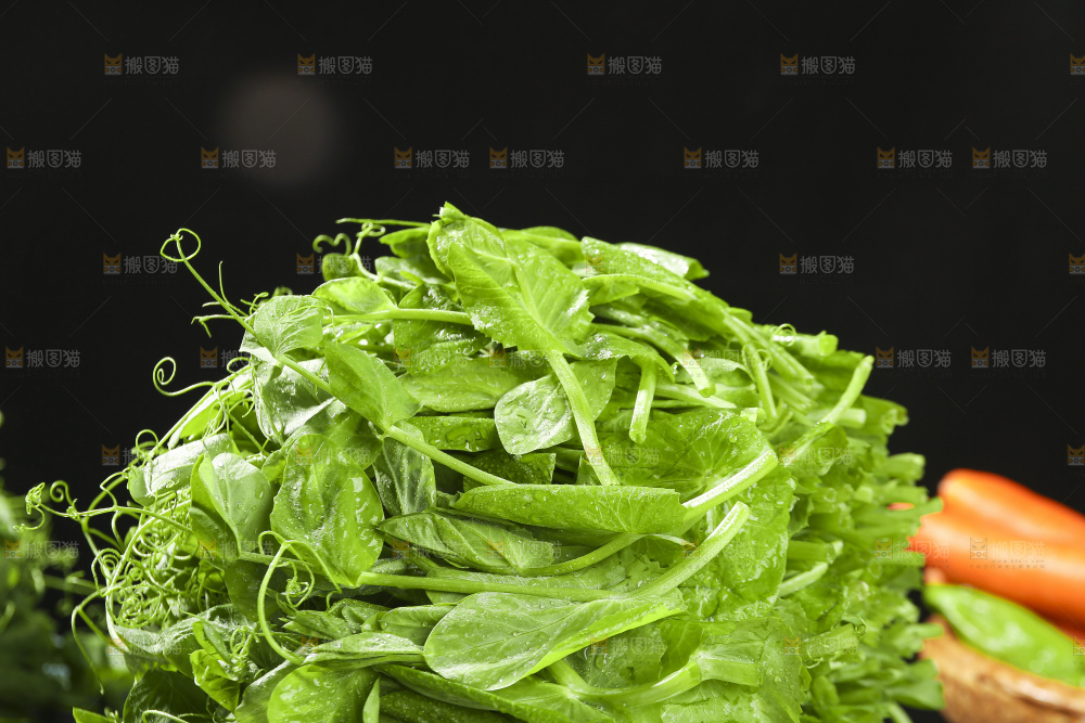 深底上的豌豆苗