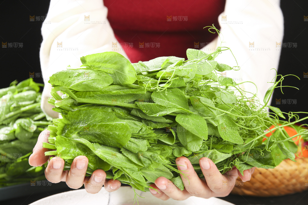 深底上的豌豆苗