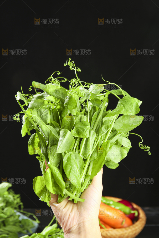 深底上的豌豆苗
