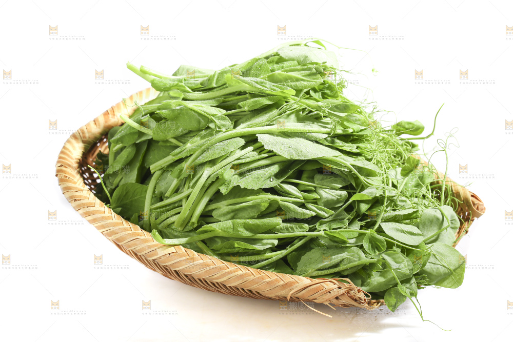 白底上的豌豆苗