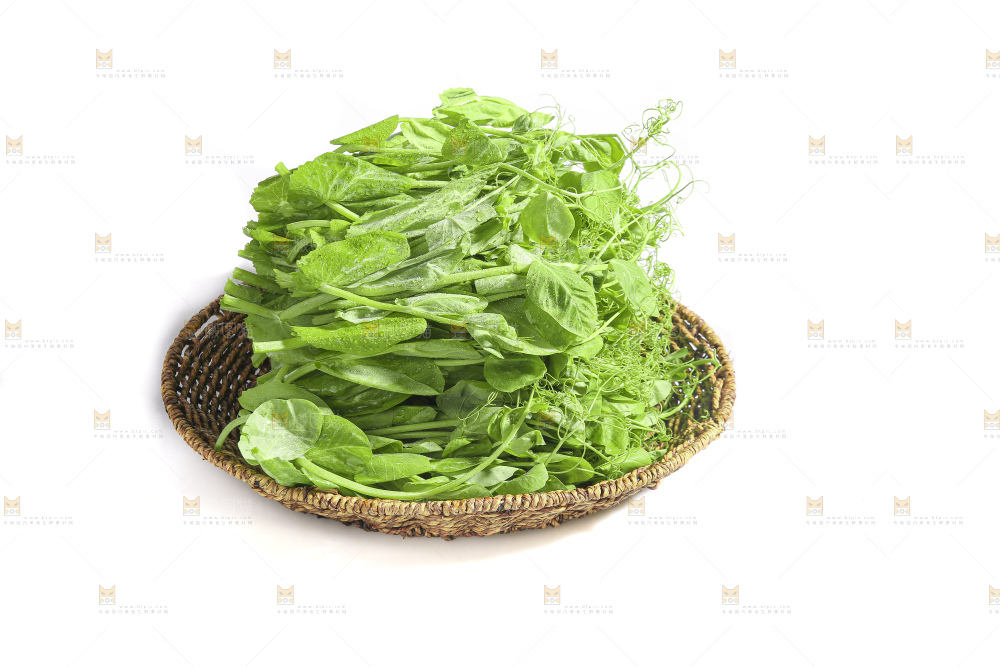 白底上的豌豆苗