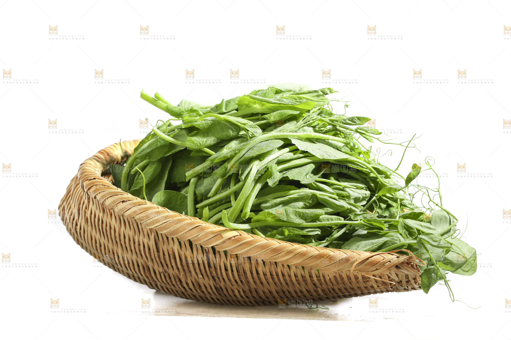 白底上的豌豆苗
