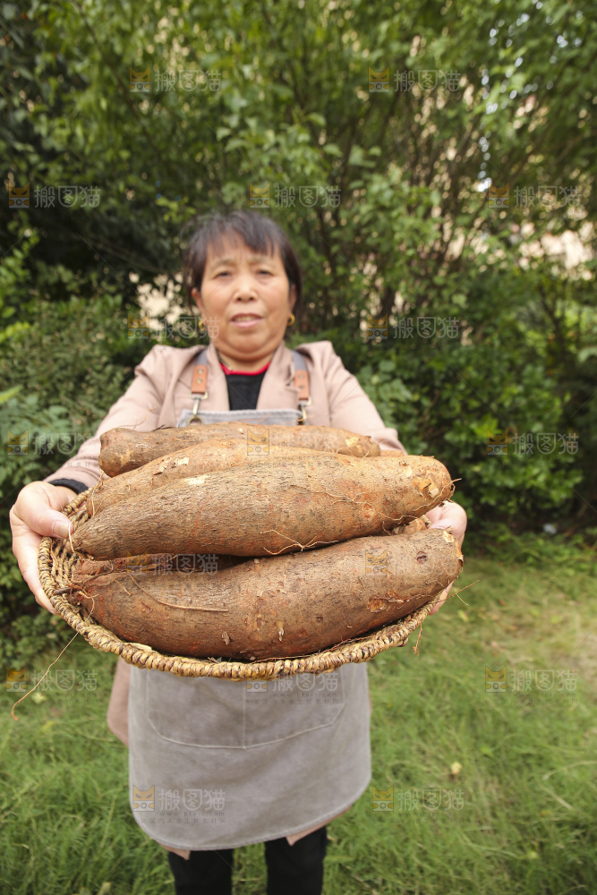 手里拿着灵芝山药