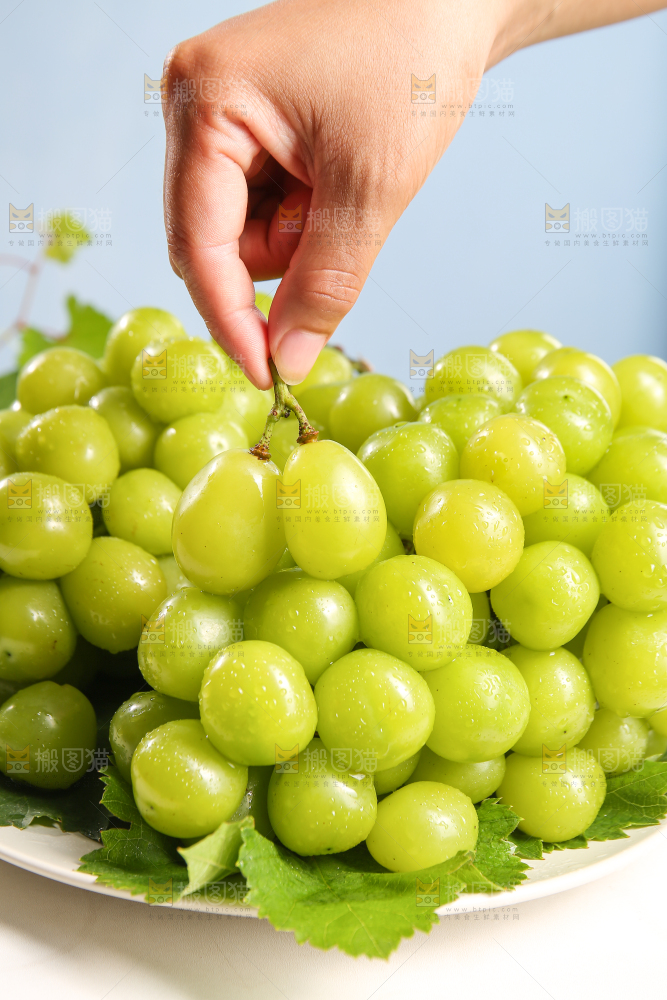 浅底上的晴王香印青提