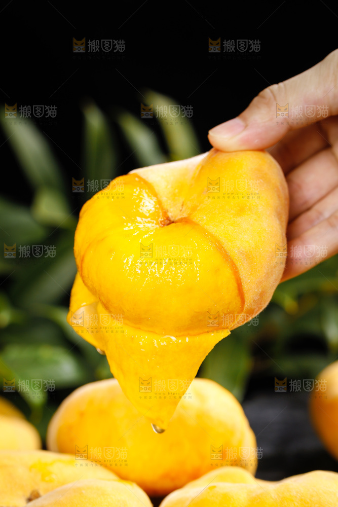 深底上的黄毛蟠桃