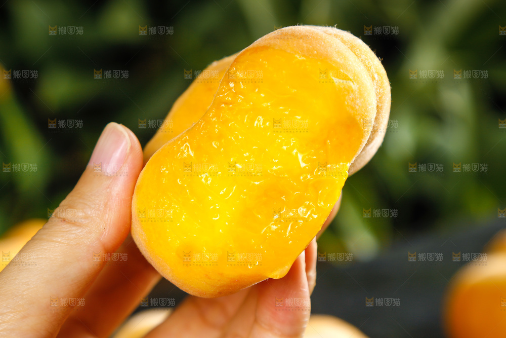深底上的黄毛蟠桃