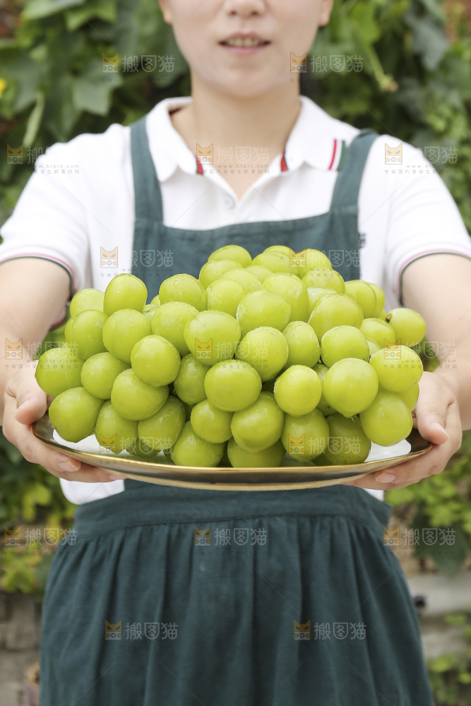 手里拿着阳光玫瑰