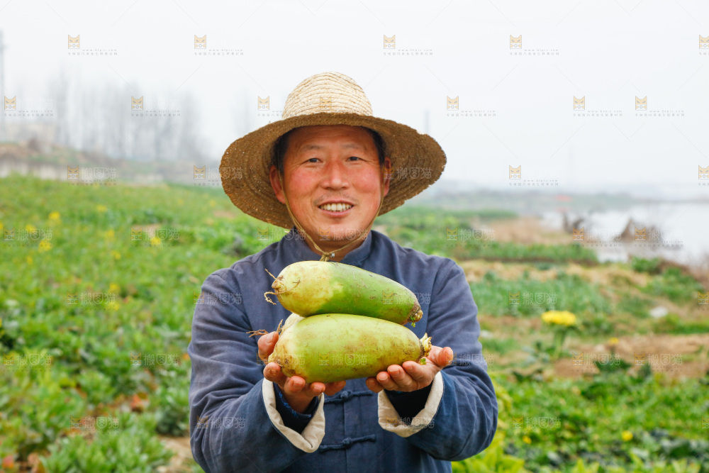 手里拿着水果萝卜