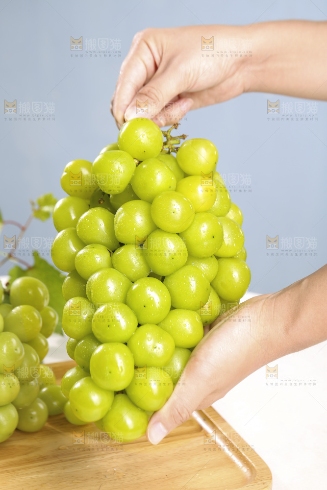 浅底上的晴王香印青提