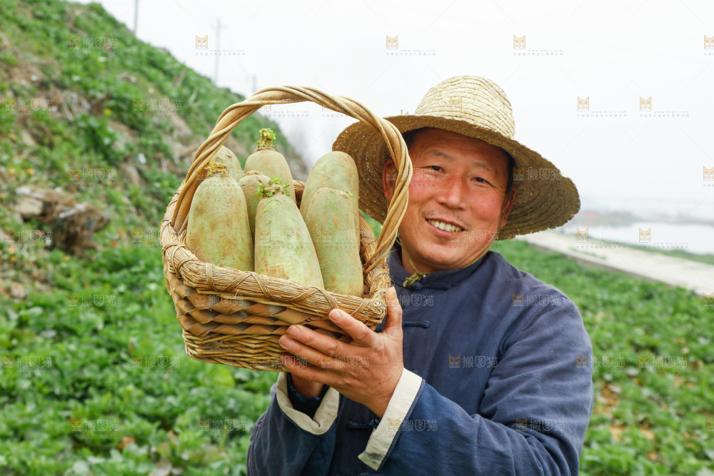 手里拿着水果萝卜