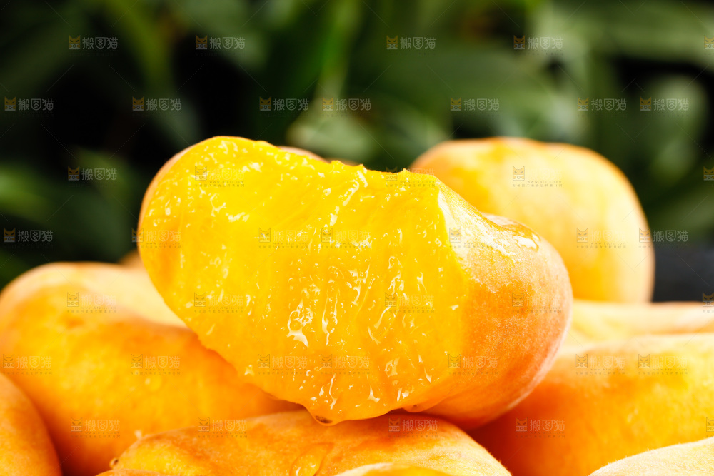 黄金毛蟠桃