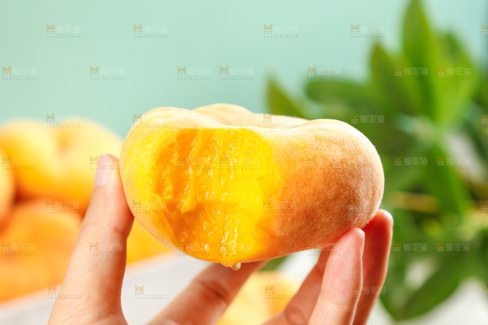 浅底上放着的黄蟠桃