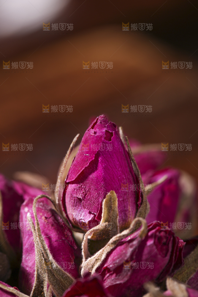 木底上的干玫瑰花