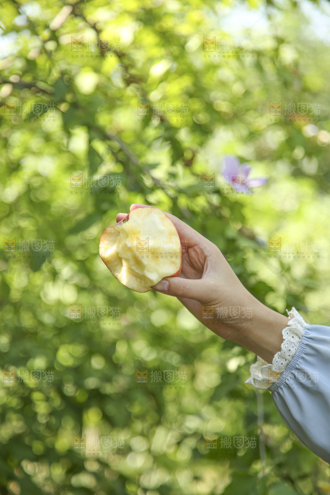 手里拿着高原红苹果
