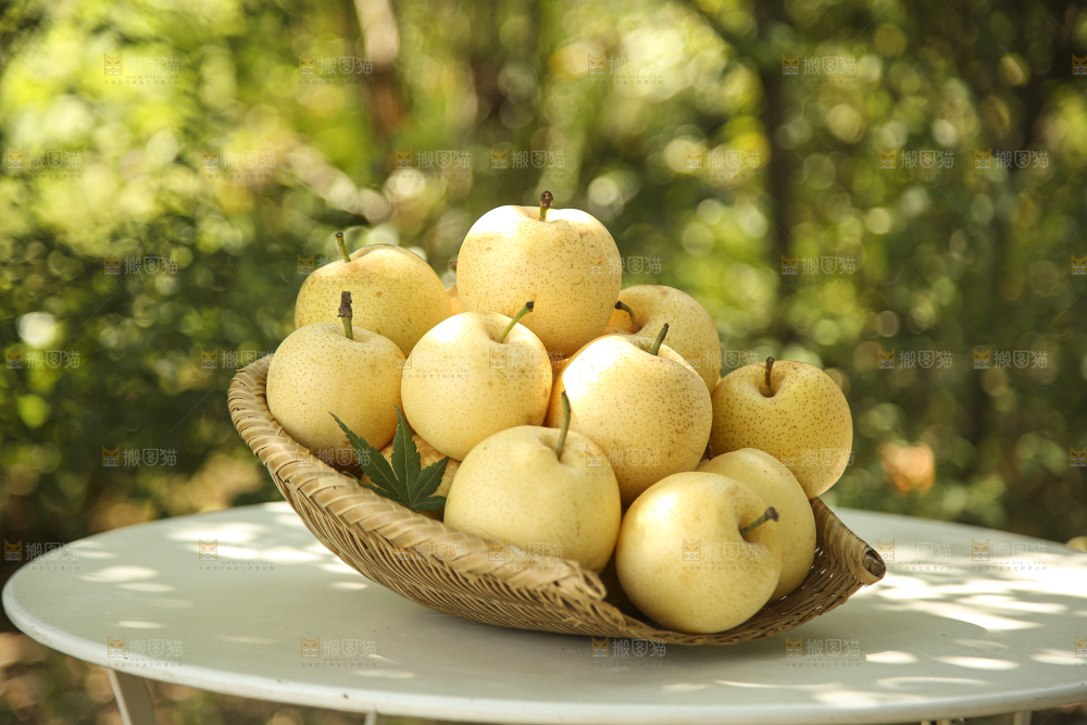 手里拿着新鲜皇冠梨