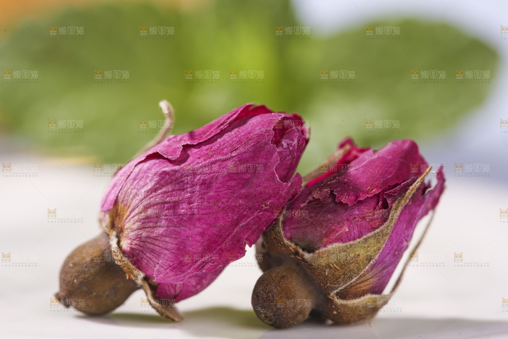浅底上的玫瑰花干