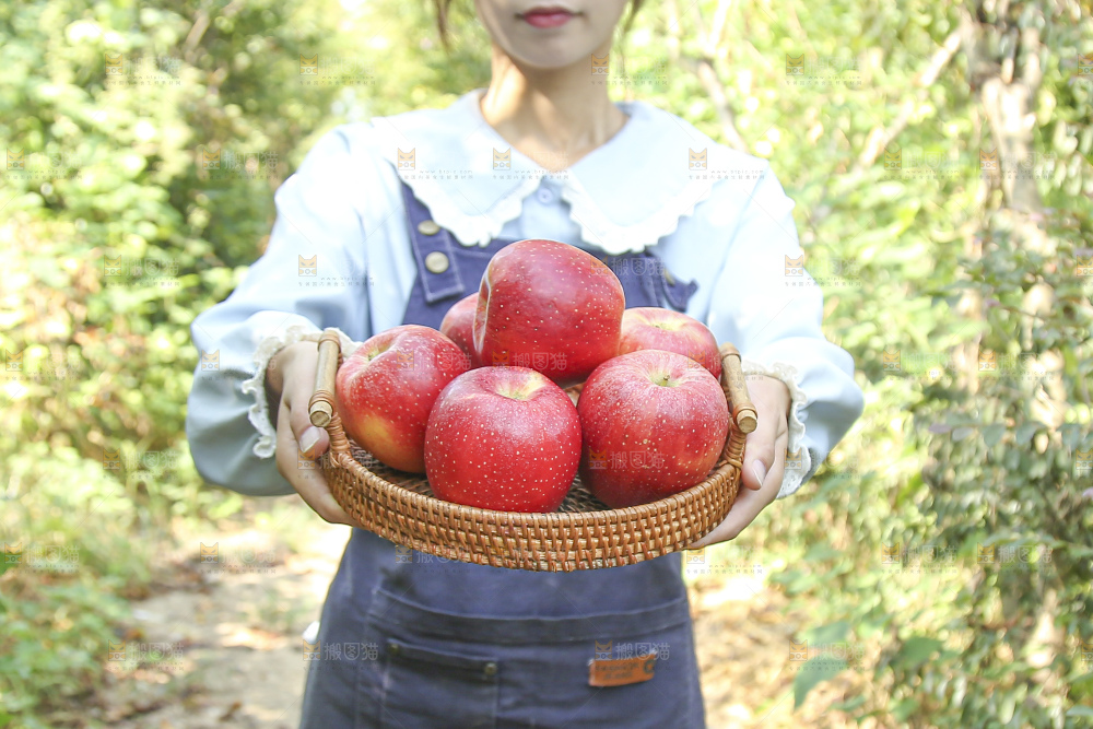 手里拿着高原红苹果