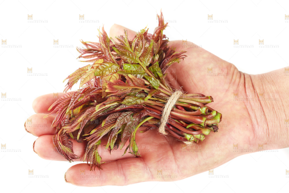白底上放着红芽香椿
