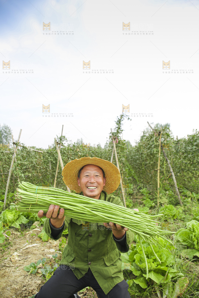 手里拿着新鲜长豆角