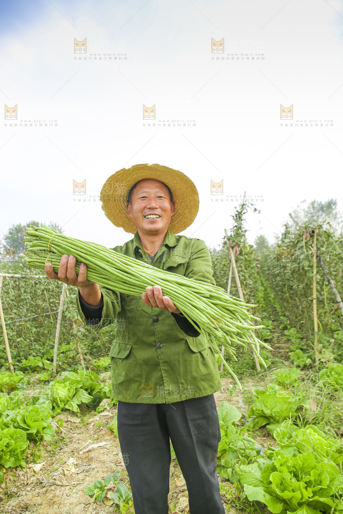 手里拿着新鲜长豆角