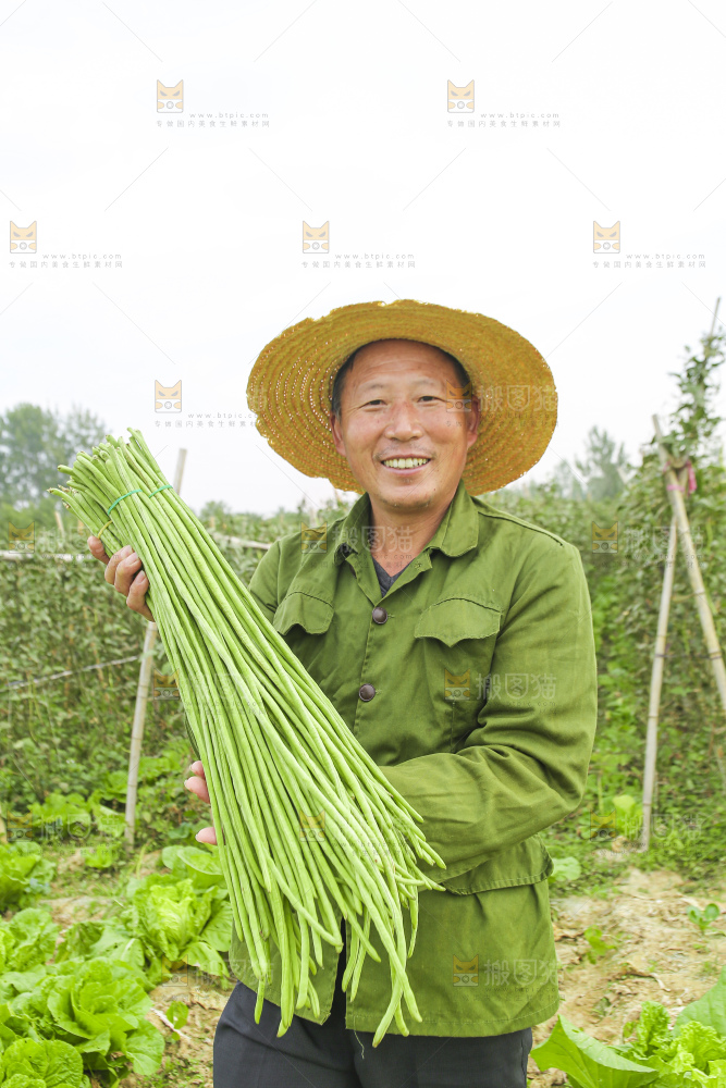 手里拿着新鲜长豆角