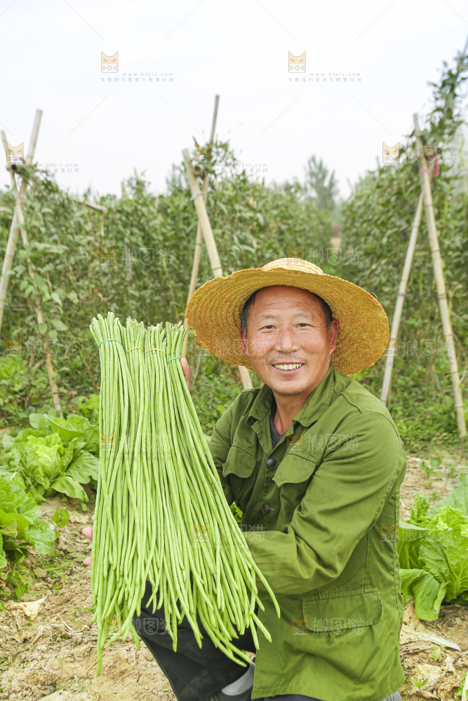 手里拿着新鲜长豆角