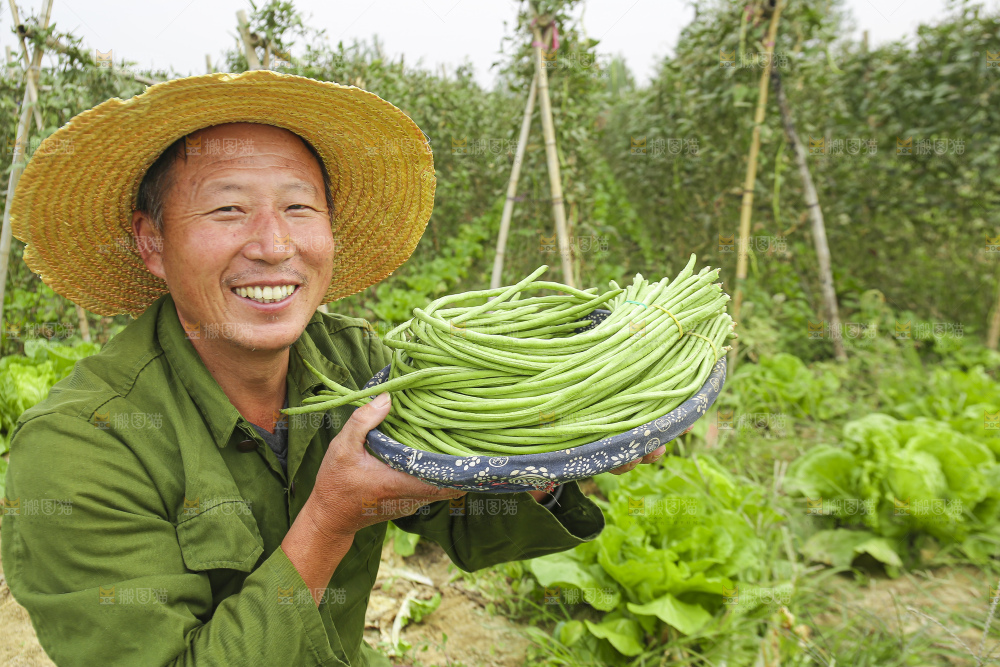 手里拿着长豇豆