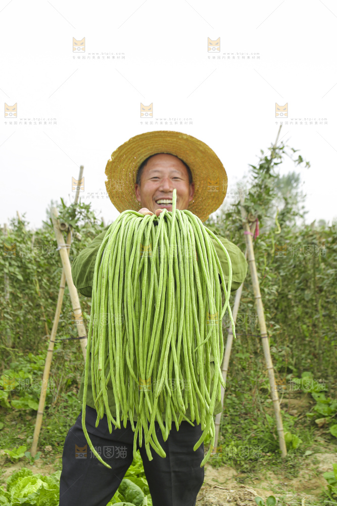 手里拿着鲜嫩长豆角
