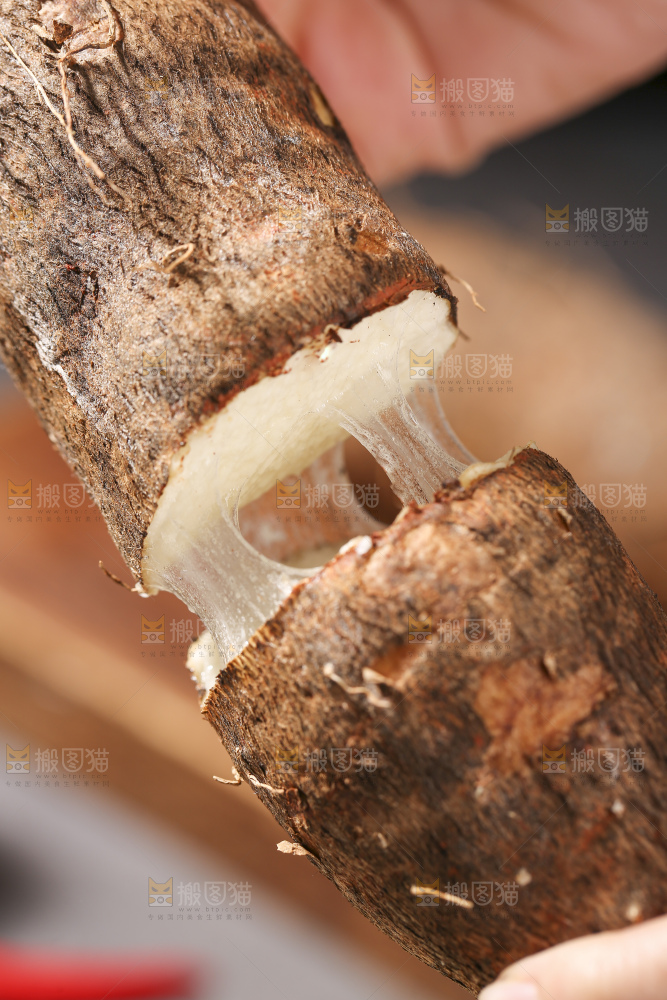 深底上放着灵芝山药