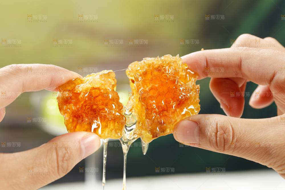 浅底上的蜂巢蜜