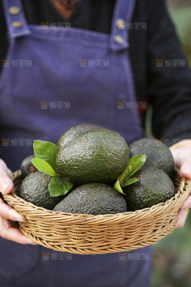 手里拿着秘鲁牛油果