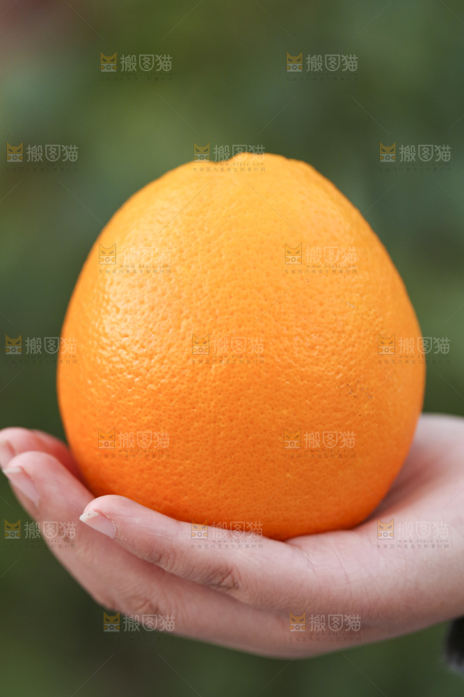 手里拿着赣南脐橙